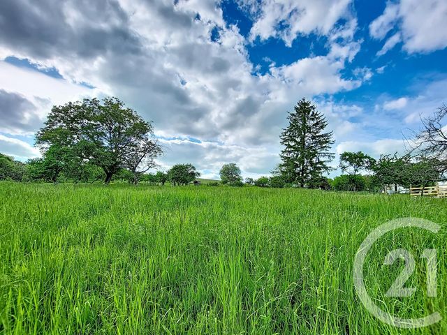 maison à vendre - 8 pièces - 132.13 m2 - OFFROICOURT - 88 - LORRAINE - Century 21 Les Portes D'Or