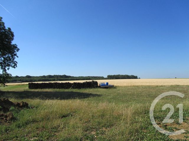 maison à louer - 4 pièces - 77.0 m2 - ST PRANCHER - 88 - LORRAINE - Century 21 Les Portes D'Or