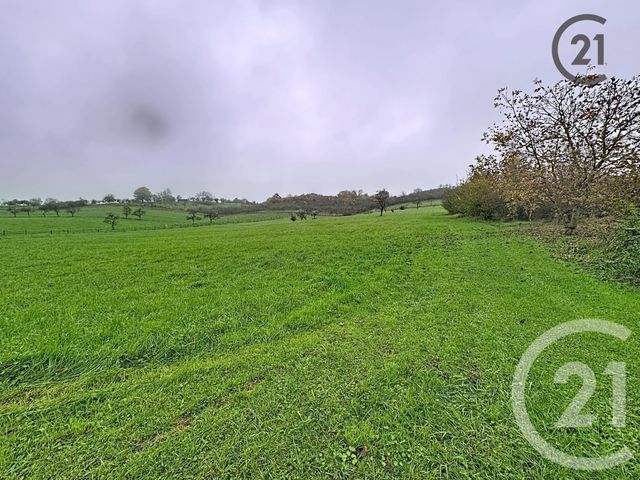 maison à vendre - 1 pièce - 139.52 m2 - THEY SOUS MONTFORT - 88 - LORRAINE - Century 21 Les Portes D'Or