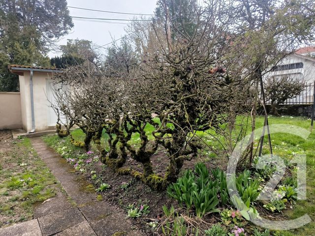 Appartement à louer - 3 pièces - 50.0 m2 - VITTEL - 88 - LORRAINE - Century 21 Les Portes D'Or