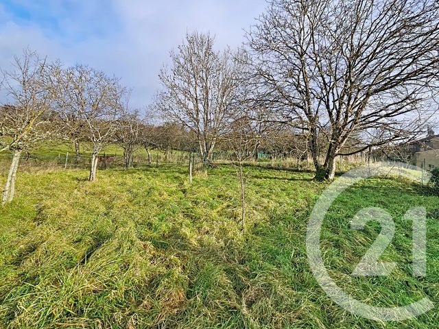 maison à vendre - 2 pièces - 262.82 m2 - SERQUEUX - 52 - CHAMPAGNE-ARDENNE - Century 21 Les Portes D'Or