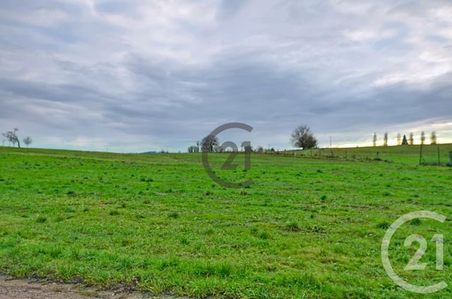 Terrain à vendre MARTIGNY LES BAINS