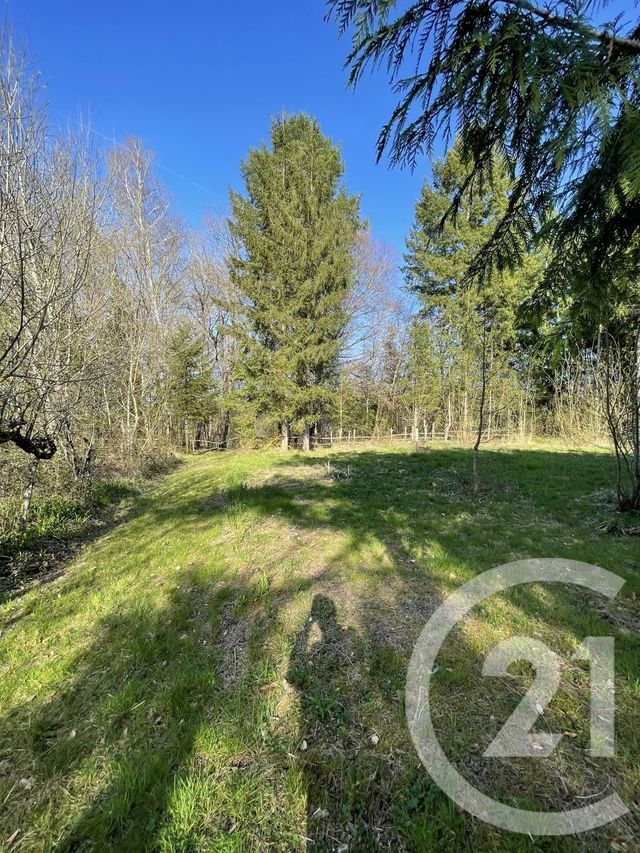 terrain à vendre - 2547.0 m2 - MONTHUREUX SUR SAONE - 88 - LORRAINE - Century 21 Les Portes D'Or